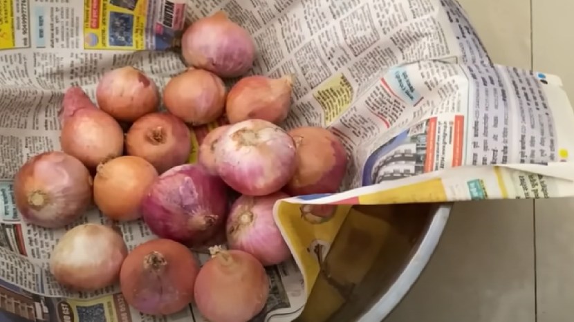 kitchen jugad video easy ways to prevent onion rot during monsoon