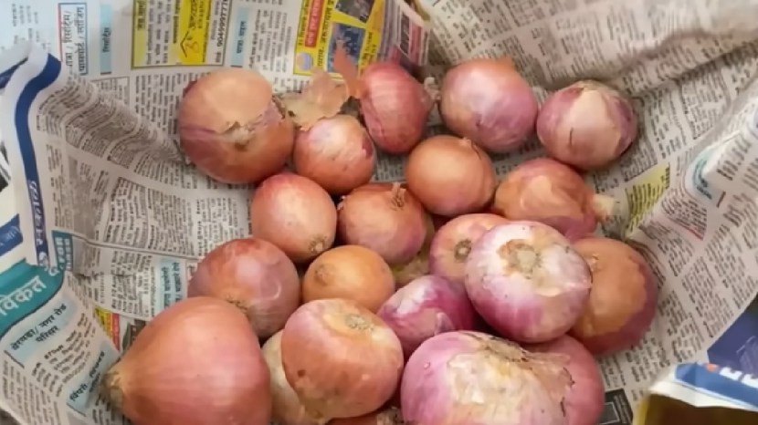 kitchen jugad video easy ways to prevent onion rot during monsoon