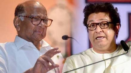 raj thackeray solapur