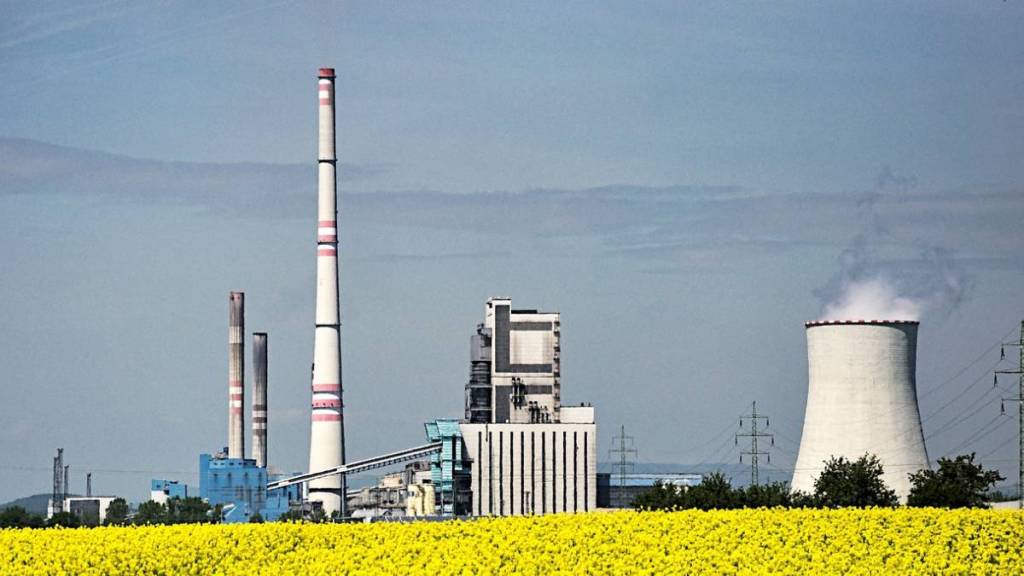 Biofuels, sustainable, India energy needs,