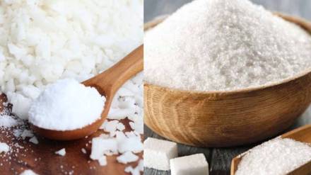 Microplastics Found in Sugar And Salt