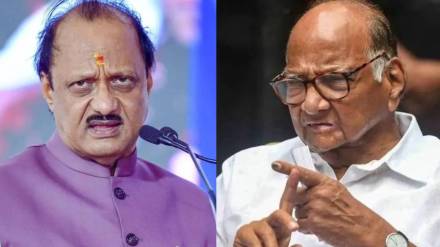 Sanjay Raut On Sharad Pawar VS Ajit Pawar