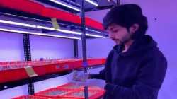 Success Story: मूर्ती लहान, पण कीर्ती महान; २२ वर्षीय तरुणाने आधुनिक पद्धतीने केली केशरची लागवड, महिन्याला कमावतो लाखो रुपये