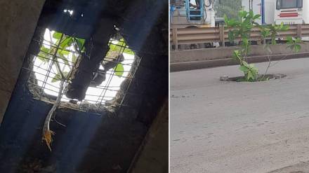 pothole, Taloja flyover, Panvel, Taloja flyover news,