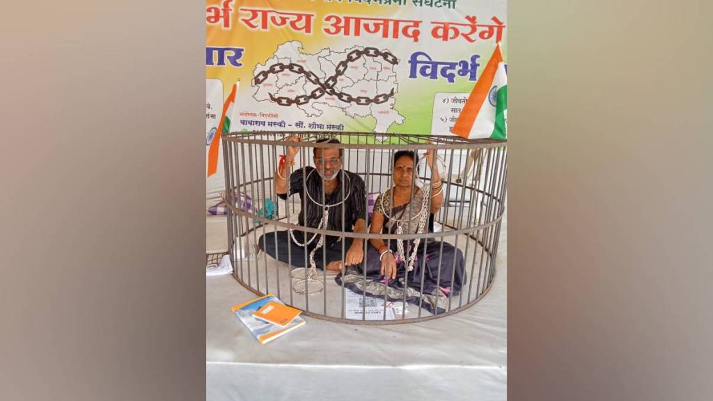 hunger strike for Vidarbha, politics Vidarbha,