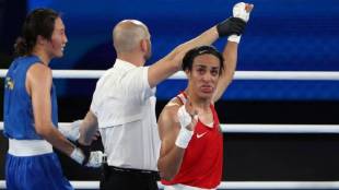 imane khelif accused of being male due to testosterone hormone