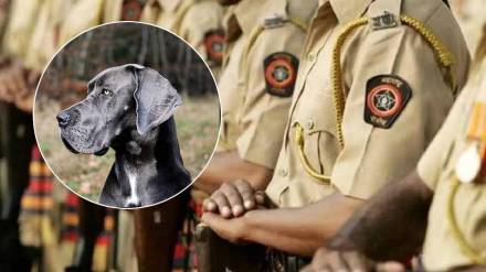 nagpur dog bite police marathi news