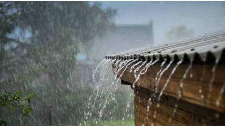 Rainfall in Alibaug Raigad district cross annual average