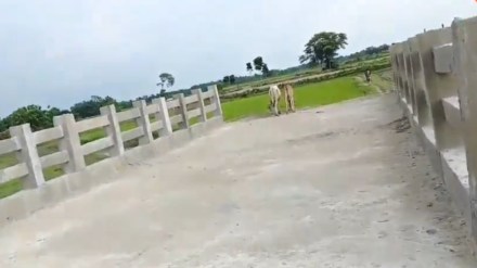 bihar bridge news