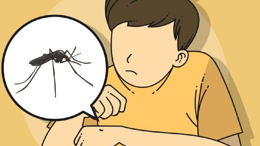 malaria causes symptoms and precautions in marathi