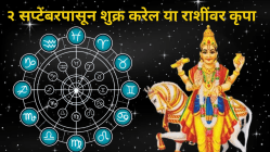 २ सप्टेंबरपासून धन-वैभवाचा दाता शुक्र ‘या’ राशींवर करेल कृपा! मिळेल भरपूर यश अन् बक्कळ पैसा