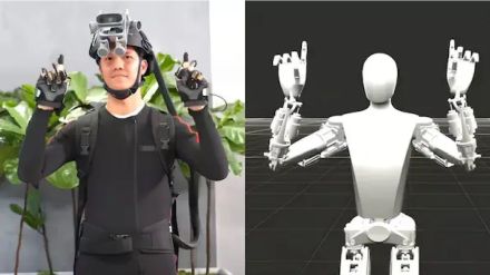 Tesla Human Robot