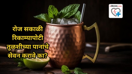 What happens to the body when you eat tulsi leaves