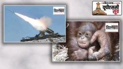 UPSC Key : यूपीएससी सूत्र : अमेरिकेच्या आण्विक धोरणातील बदल अन् मलेशियाची ‘ओरंगुटान डिप्लोमसी’, वाचा सविस्तर…