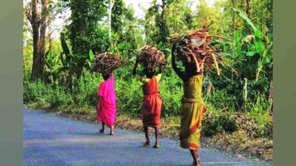 Mumbai, forest land, human rights, farm land, tribal demands, environmentalists, Gavthanas, autonomy, native inhabitants, Mumbai, forest land, human rights, farm land, tribal demands, environmentalists, Gavthanas, autonomy, native inhabitants,