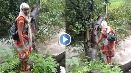 anganwadi worker cross the flooded river video goes viral anganwadi worker cross the flooded river video goes viral