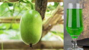 ash gourd helps to lose the weight from hydration diabetes to digestion healthy benefits of winter gourd