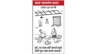 loksatta cartoon for month august 2024