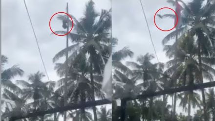 bird didn’t unfurl tricolour during Independence Day celebration in Kerala bird didn’t unfurl tricolour during Independence Day celebration in Kerala