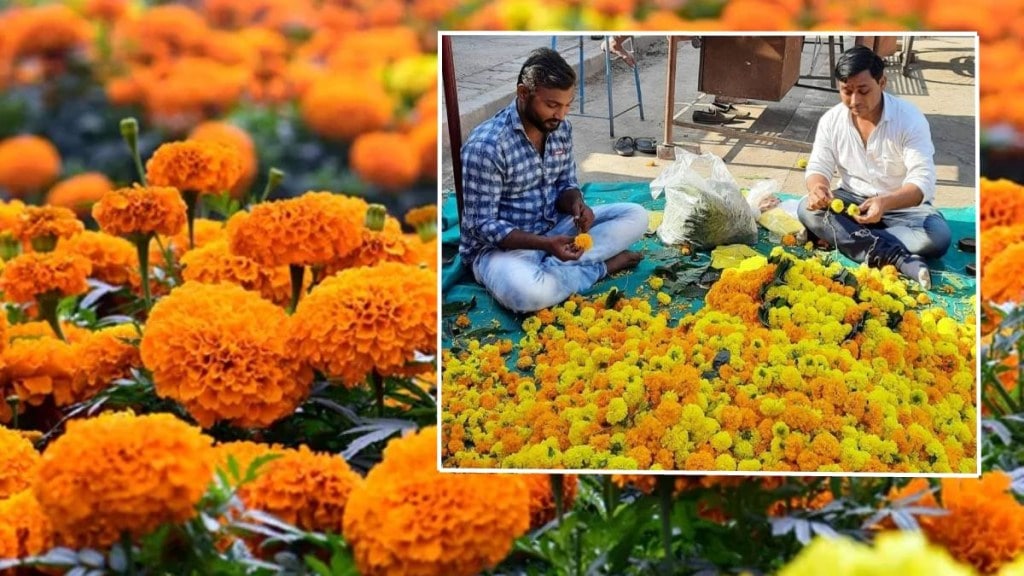 pune flowers price