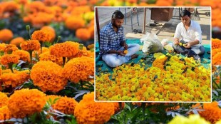 pune flowers price