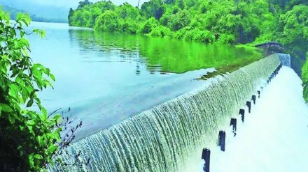 rainfall in koyna dam marathi news