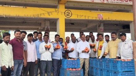 atpadi taluka highest price for Pomegranate