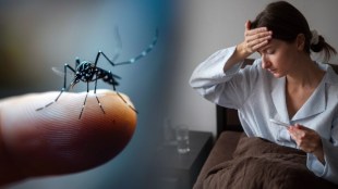 dengue-healthy-diet