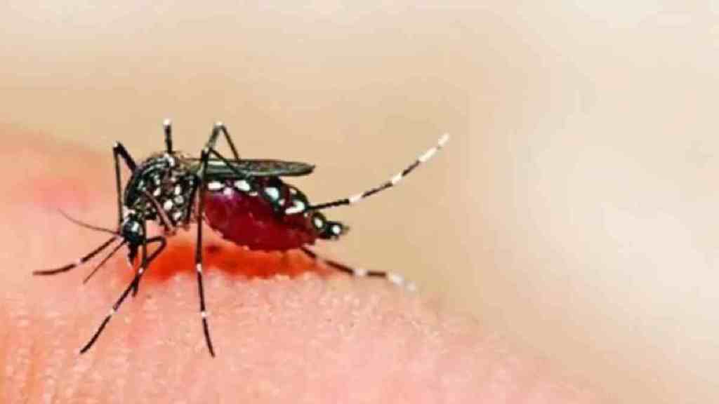 Nagpur, Dengue, 125 Doctors Affected by dengue Chikungunya, Chikungunya, Medical and Mayo hospitals, doctors affected, outbreak, pest control,
