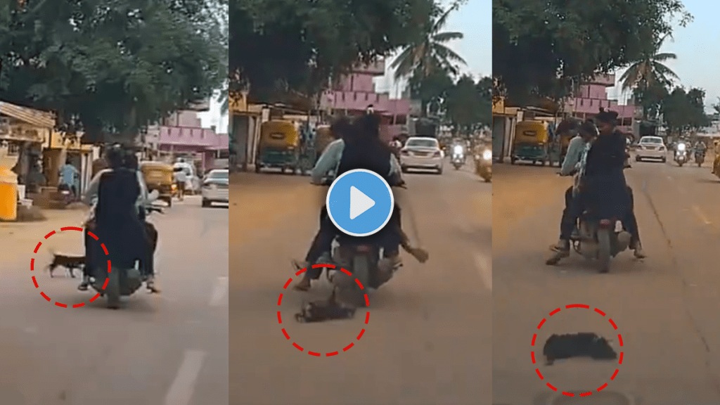Viral Video of Dog accident in Karnataka Dog Crushed Under Wheels Of Two-Wheeler Viral Video of Dog accident in Karnataka Dog Crushed Under Wheels Of Two-Wheeler