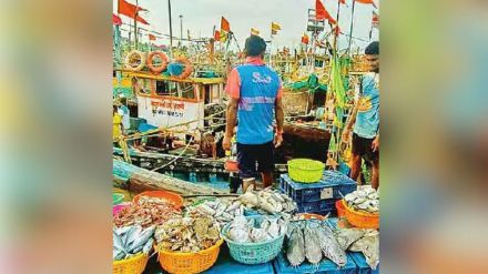 New fish season but many problems for fishermen