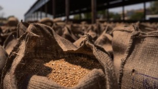 Prahlad Joshi announcement that the Center will keep an eye on the daily prices of 38 food grains