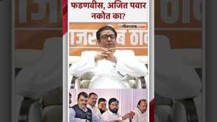 "तीन लोकांची एक कंपनी..."; राज ठाकरेंचा महायुतीला खोचक टोला