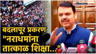 stricit action will be taken aginst the culprit said dcm and state home minister devendra fadnavis