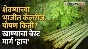 Krishna Janmashtami special benefits of shevgyachya bhaji and benefits of moringa leaf powder