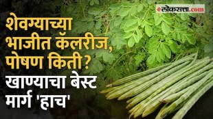 Krishna Janmashtami special benefits of shevgyachya bhaji and benefits of moringa leaf powder