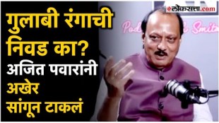 Deputy Chief Minister Ajit Pawar said about pink color