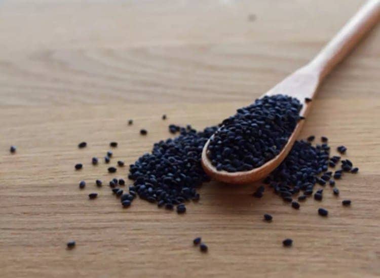 Calcium and Magnesium in Sabja Seeds