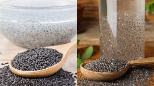 chia seeds and sabja seeds difference