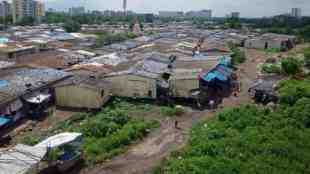 Kalyan Dombivli, illegal constructions, illegal constructions in Kalyan Dombivli, government land, Bombay High Court, municipal limits, revenue loss,