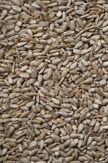 Healthy-secrets-hidden-in-sunflower-seeds