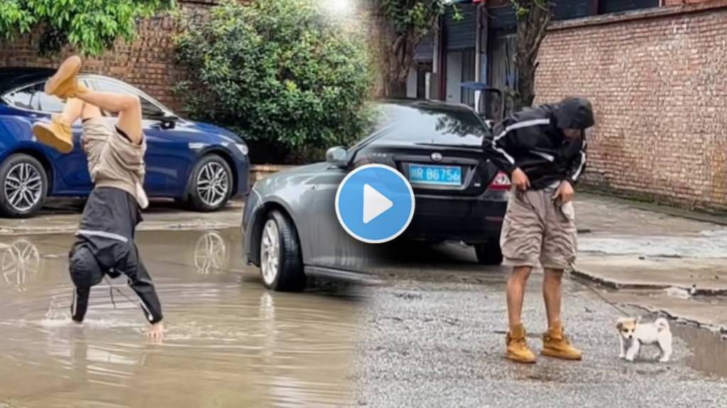 man Protecting dogs from standing rain water