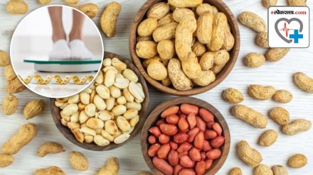 वजन कमी करण्यासाठी शेंगदाणे खाण्याचे फायदे (फोटो : लोकसत्ता ग्राफिक्स टीम )