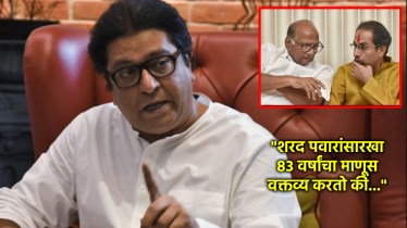 raj thackeray on sharad pawar uddhav thackeray