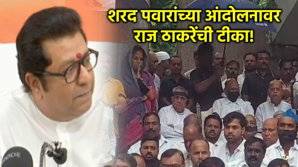 raj thackeray on sharad pawar