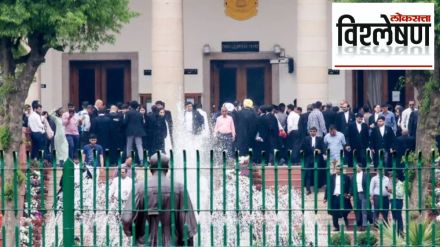 senior lawyer appointed sc