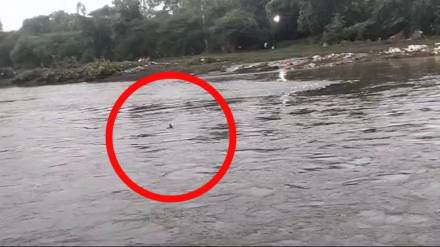 young woman jumps into indrayani river in alandi young woman jumps into indrayani river in alandi