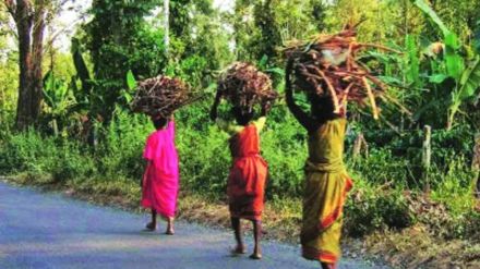 Antar Singh Aryas appeal to youth says responsibility of youth to save tribals