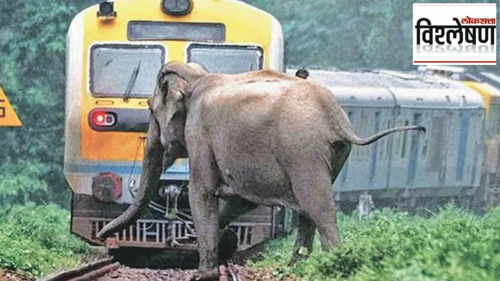 Wildlife Deaths On railway tracks,