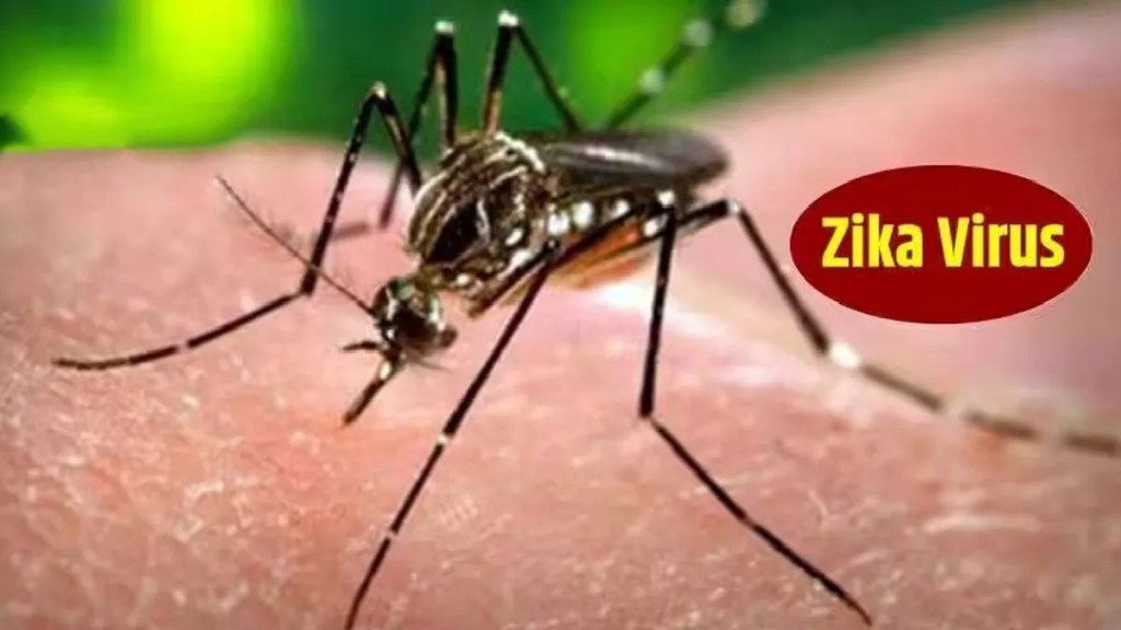 pune has the highest number of Zika virus patients in the Maharashtra state Pune news pune has the highest number of Zika virus patients in the Maharashtra state Pune news